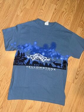 Vintage Yellowstone National Park T Shirt Medium Delta Pro Weight Nature